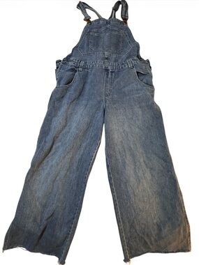 wild fable Light Blue Denim Overalls